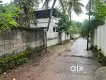 Chathinamkulam 8.5 Cent Rectangle Plot