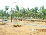 Mettupalayam to Annur road property for sale low price