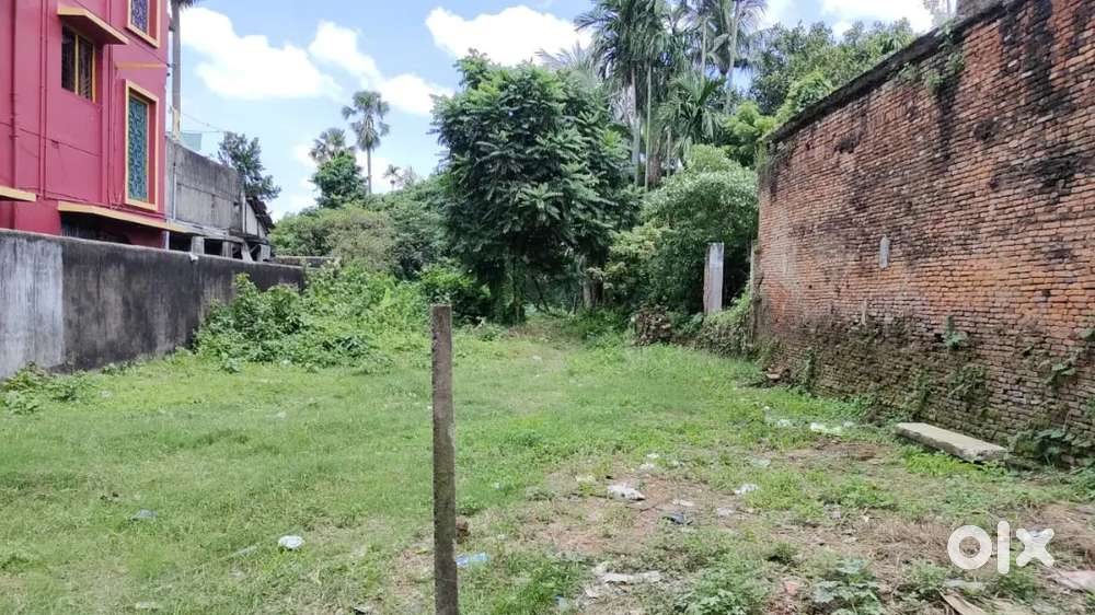 গোডাউনের জন্য ভাড়া দেব, flipkart জিপ টু বা যে কোন অনলাইন বিজনেসের .