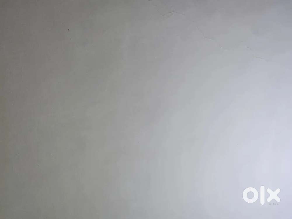 Kotkapura ch gehne te ghr di lod hai