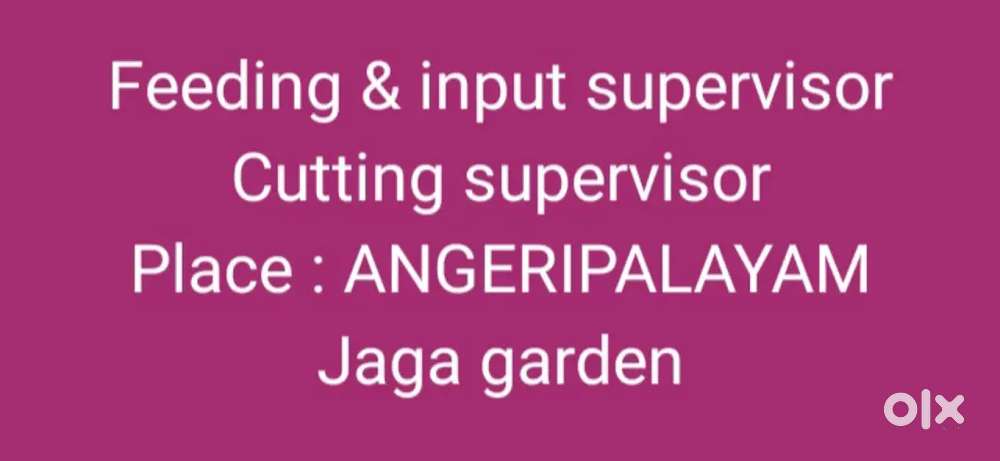 FEEDING & INPUT SUPERVISOR