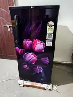 LG 185 ltr