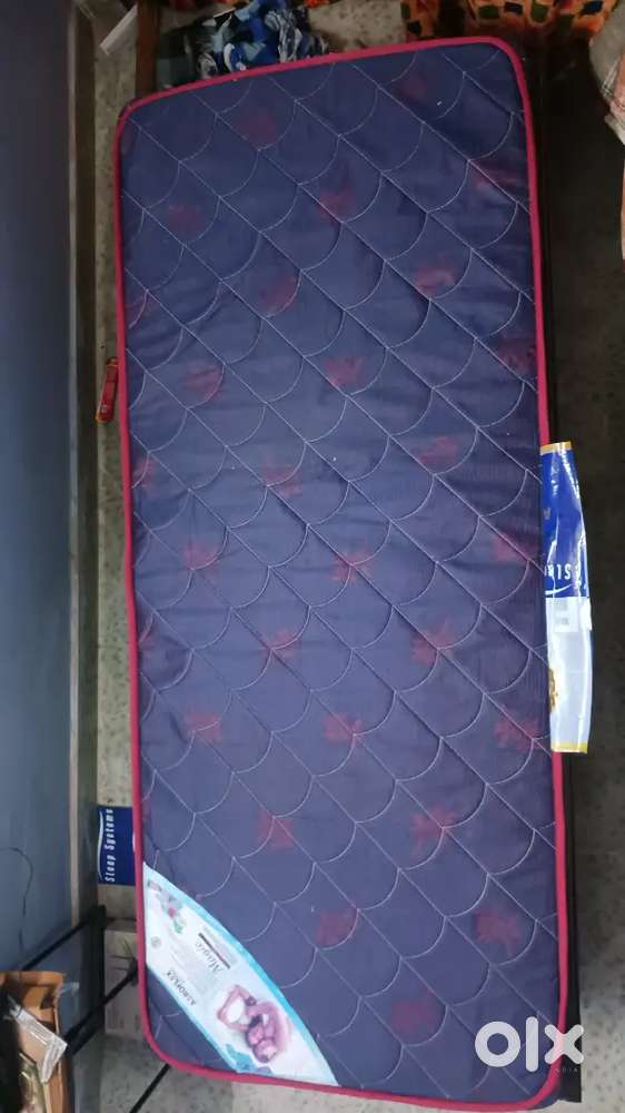 Diwan cot with matress