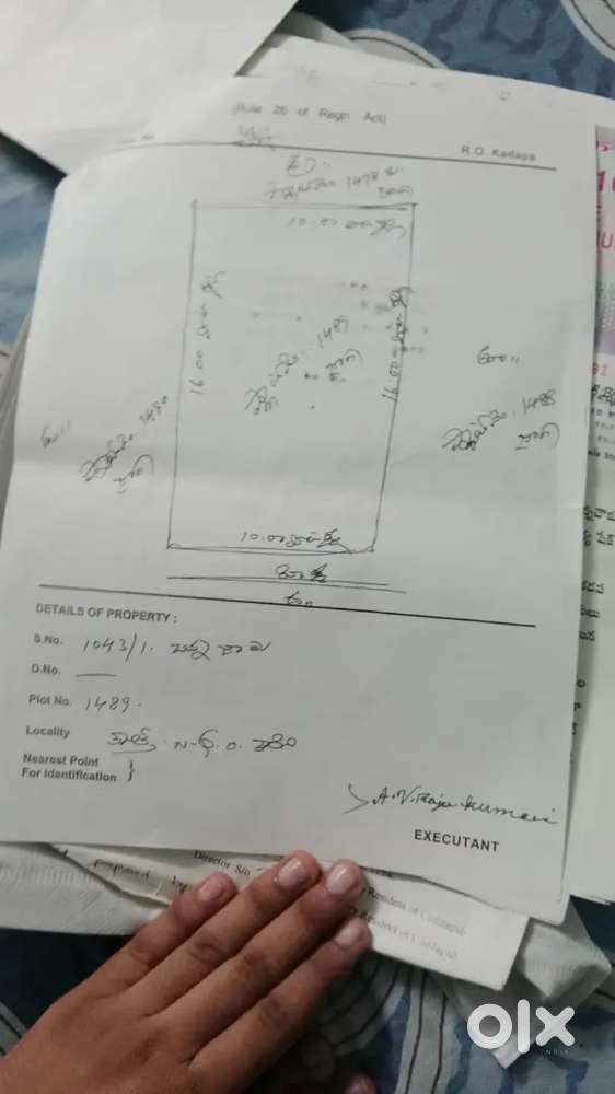 N.g.o plots 1489