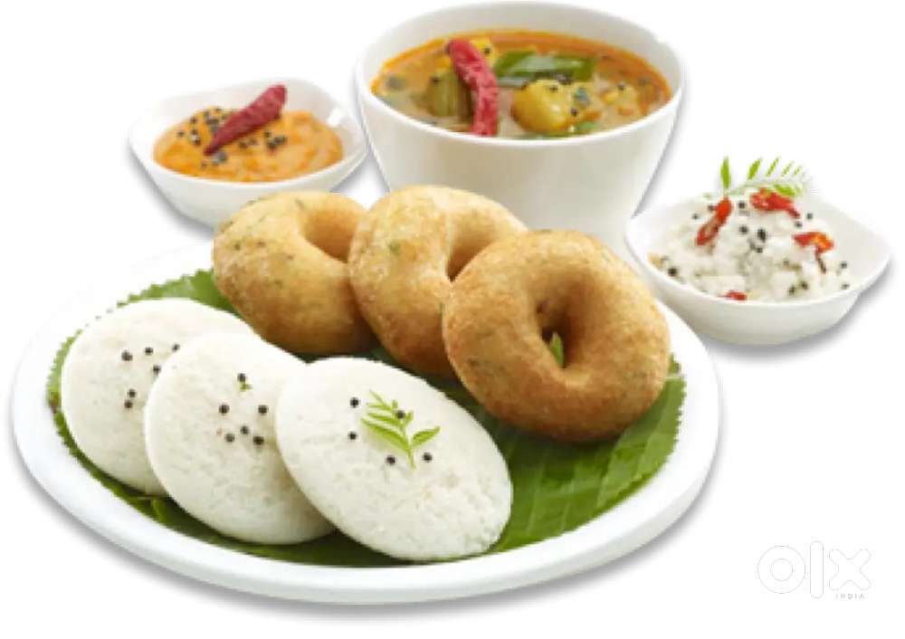 Wanted tiffins,chinese,indian,tandoori,continental cooks for veg hotel