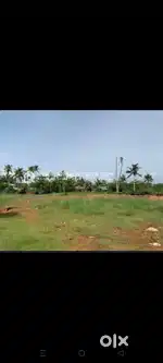 RESIDENTIAL PLOT FOR SALE NEAR MANAKKAKADAVU  KAKKANAD