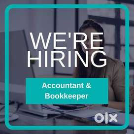 ACCOUNTANT WITH SALES SKILL