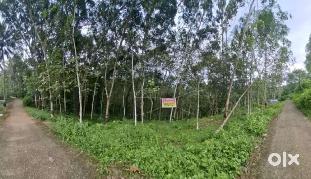 47 cent Road side for sale Nanniyode