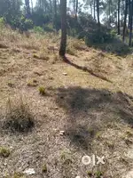 11 Marla Land Near NIT Hamirpur