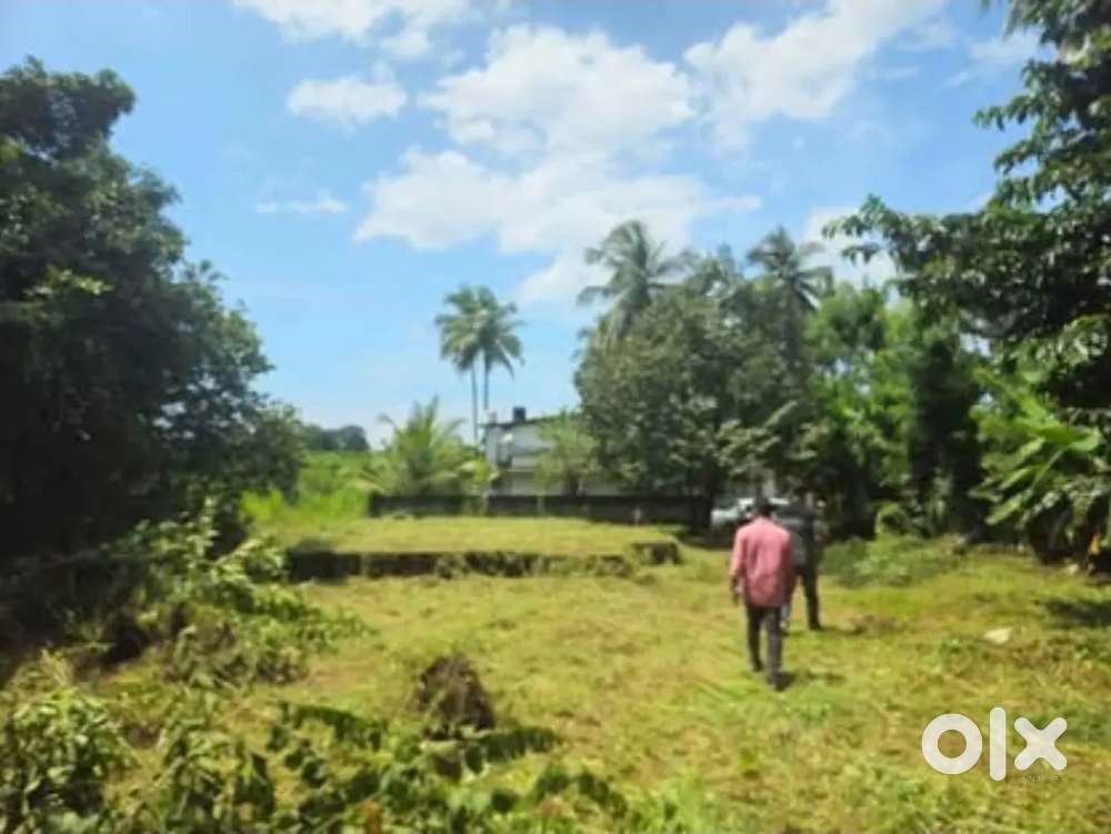 Land for sale. Punnad. 160000/cent. 10 cent