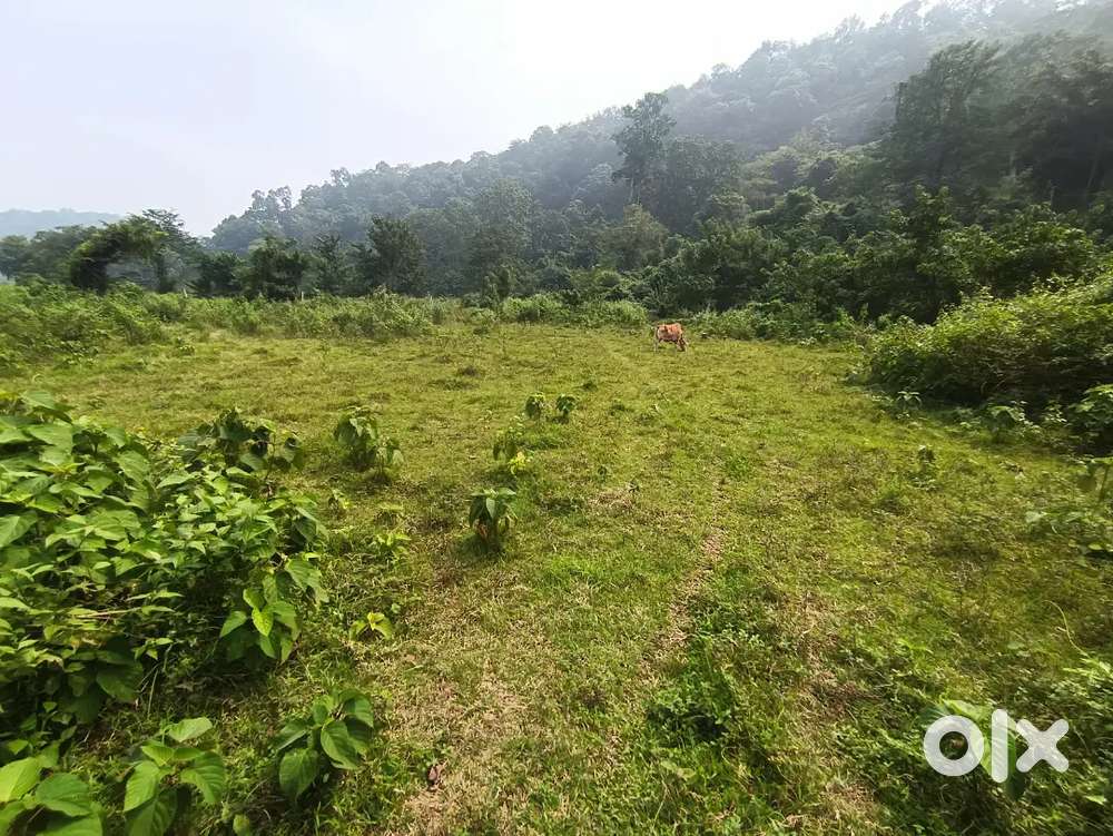 I want sale 25 bigha aksoniy plot