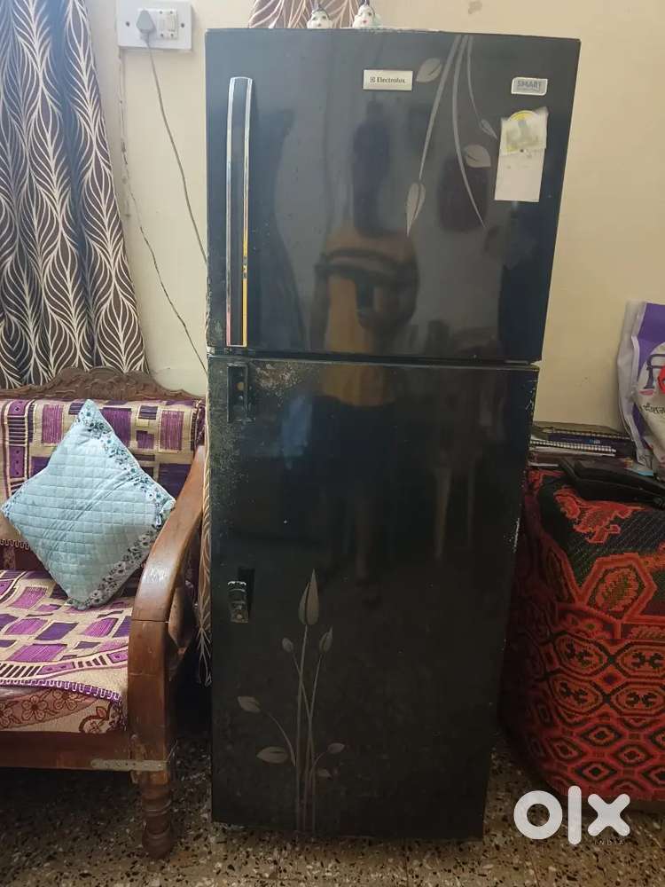 Electrolux 3star 219 L dual door fridge