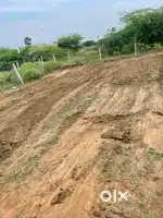 தூத்துக்குடி கார்ப்பரேஷனில் DTCP வீட்டு மனை விற்பனை