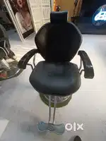 Salon Chair