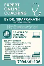 Online Coaching