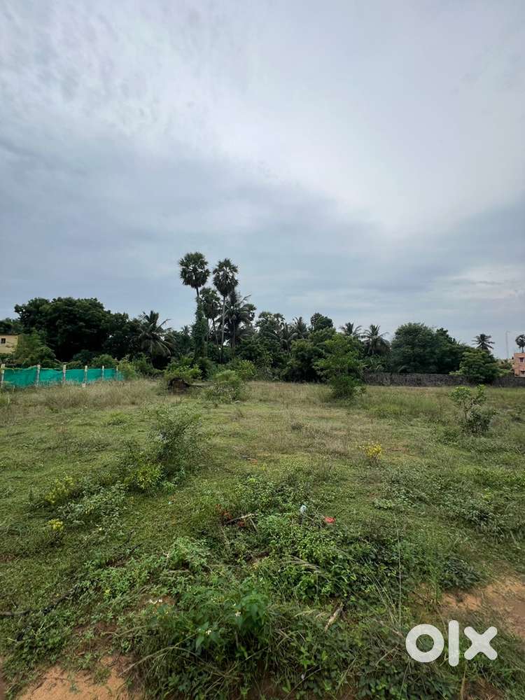 Commercial Land for Sale in ECR Nemmeli Near Beach & Main Road