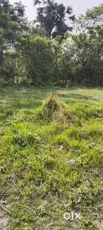 2 katha land( per katha 5lakh )
