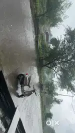 Brand new condition