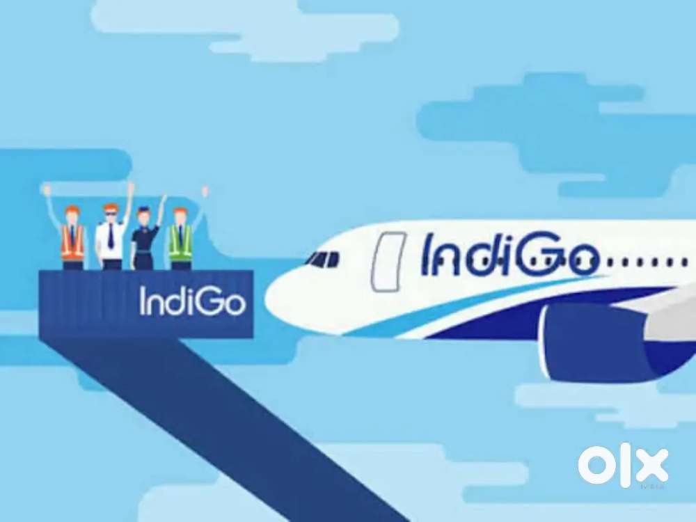 Domestic/International Airport Ground Staff Jobs in Indigo Airlines