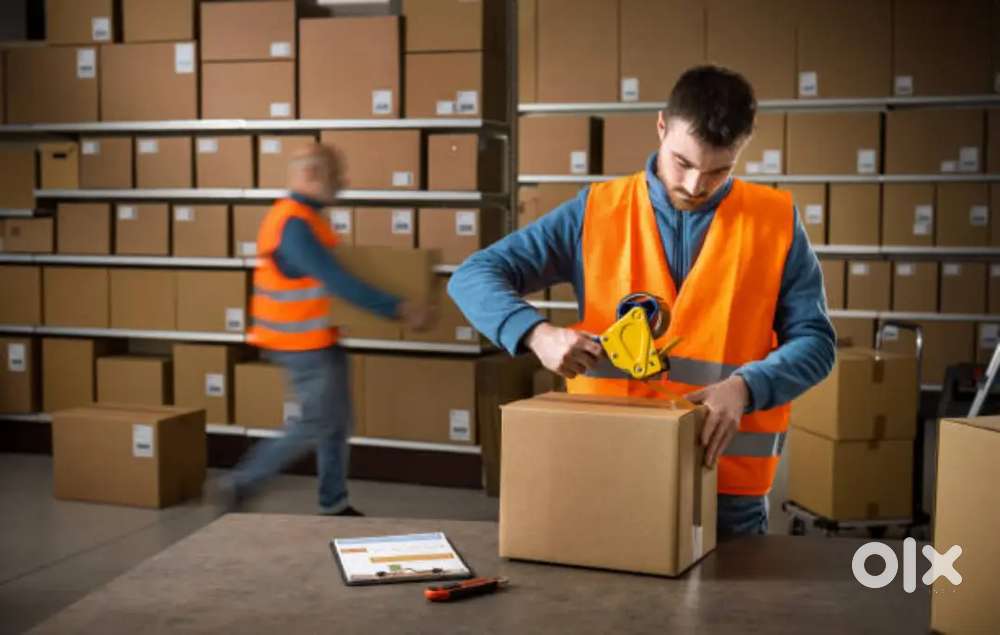 Looking for van delivery boys picker & packer