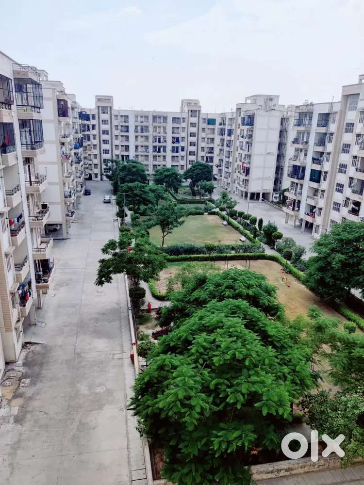 Flat/ room/ flatmate ( need a flatmate) only for girls