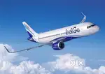Jobs in Indigo Airlines vacancy available for Male, Female candidates