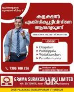 Collection Executive