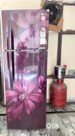 LG 308 Litre Double Door Fridge