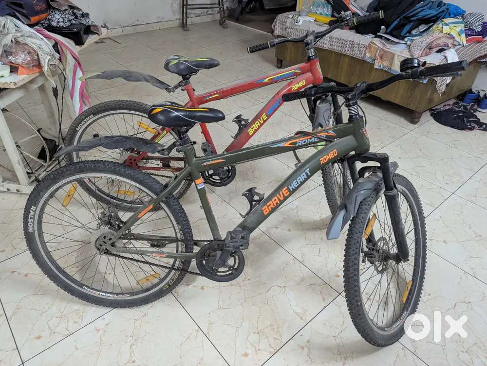 Brave heart romeo cycle