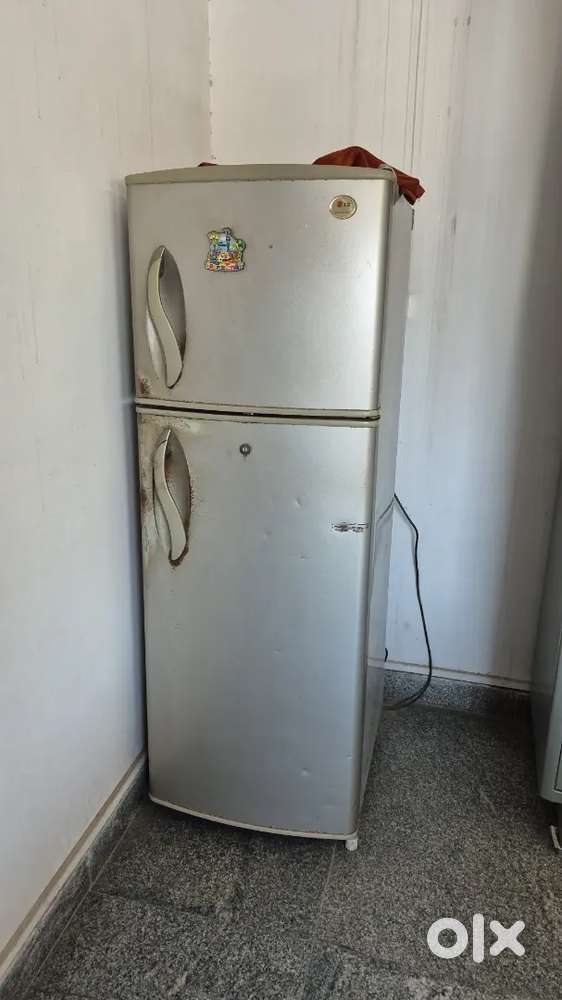 LG double door fridge