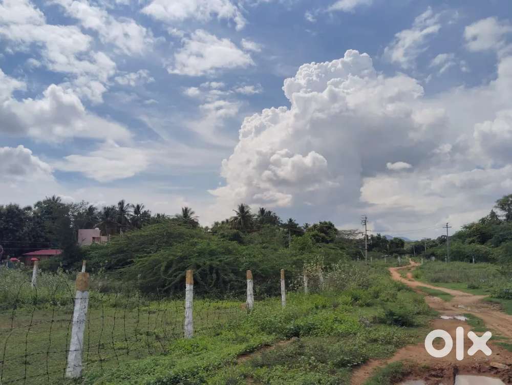 PLOT FOR SALE