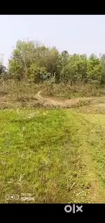 Ka lum bd pynthor bn die 13acre 36lac nongpoh