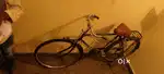 Bramd new cycle