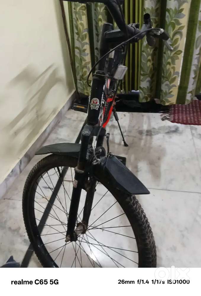 Neelam cycle