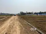 100cnt free plot