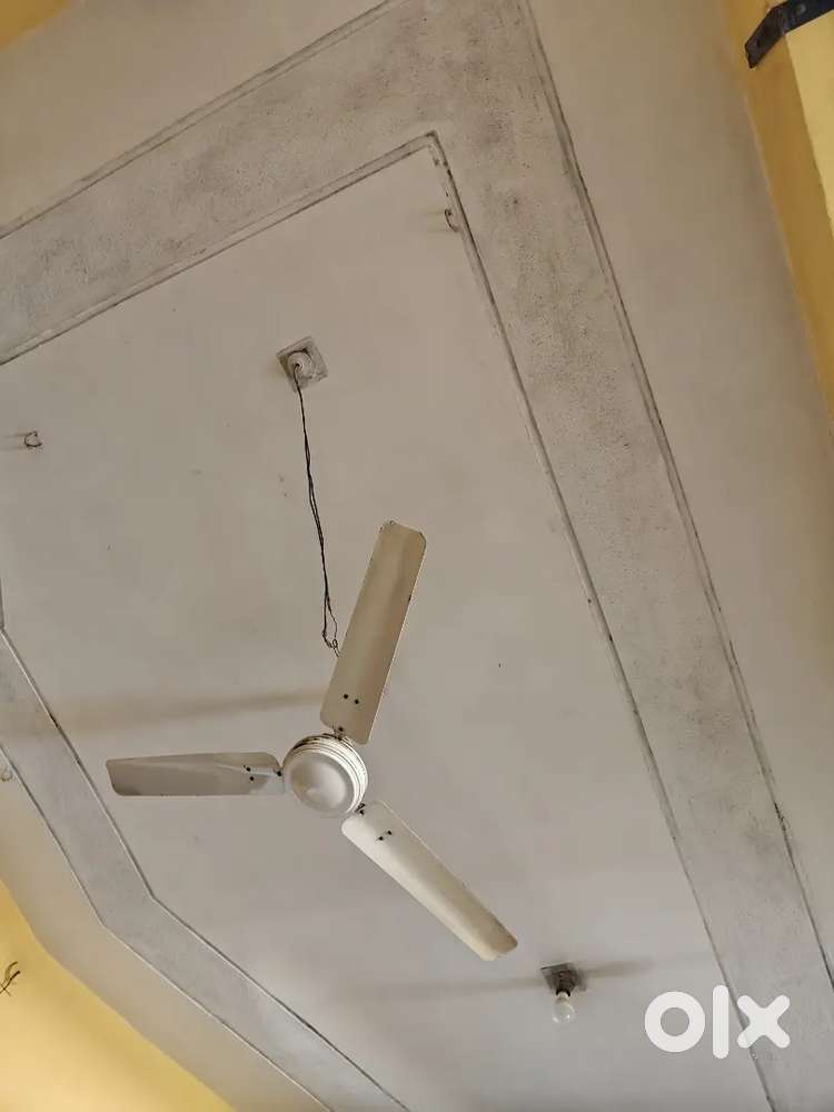 Fan for sell