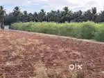 Land / Agricultural land