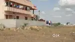 Ayakolathur village DTCP Approved Plot