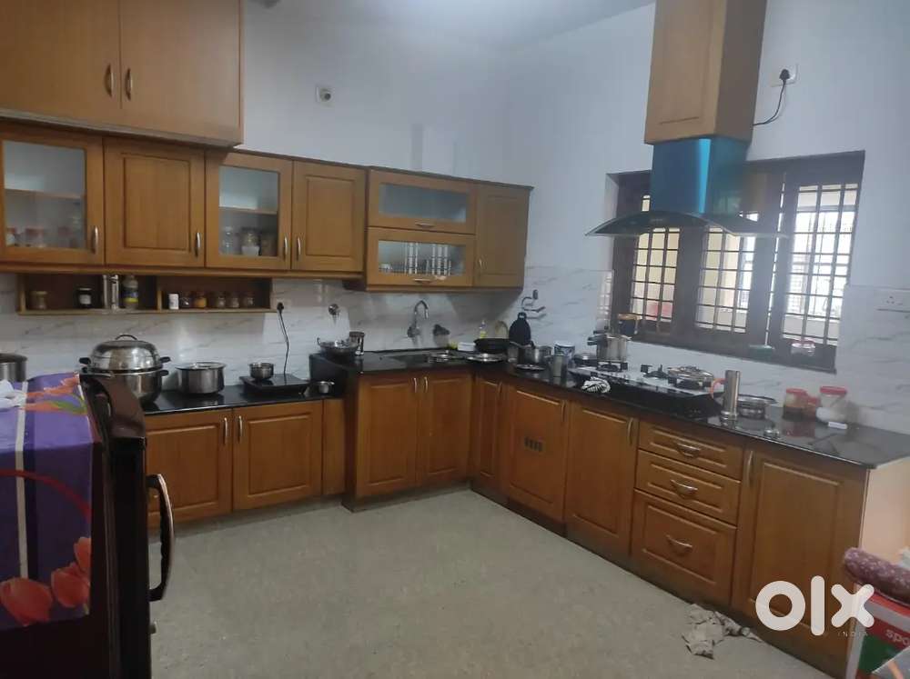 Individual house for rent