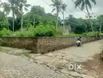KAKKANAD COLLECTRATE 550 MTR 14.800 CENTS FOR SALE.