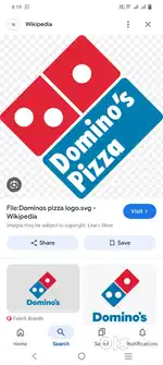 Delivery boy in dominos pizza Toph Sherkhania jammu