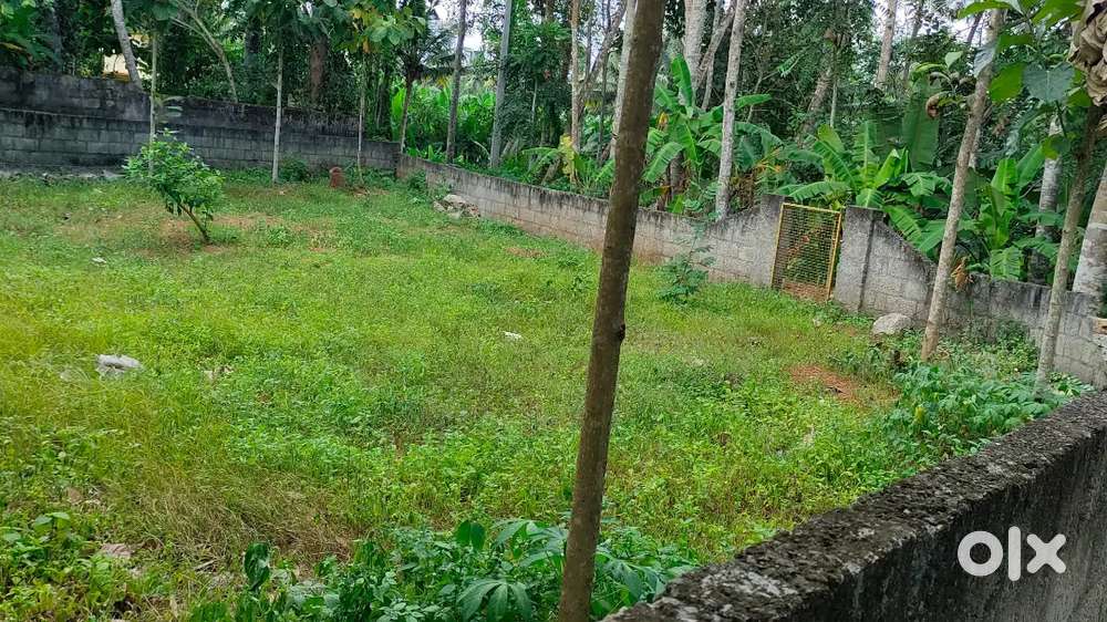 PLOT FOR SALE 7.2 CENT