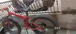 Impotaed folding cycle fat tyer