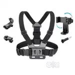 Chest mount