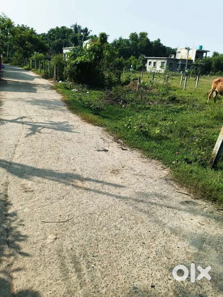 TATARPURCOLONY NEIAR KALIMANDIR