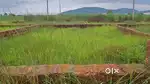 Free litigation land