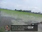 Khet 9 biswa×60 hazar  biswa=540000