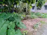 i want to sell my property