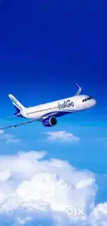 Cabin Crew/ Airport Ground Staff Jobs in Indigo airlines.