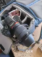 Sony alpha 7 mark 3 canon rp nikon d750 nikon z5